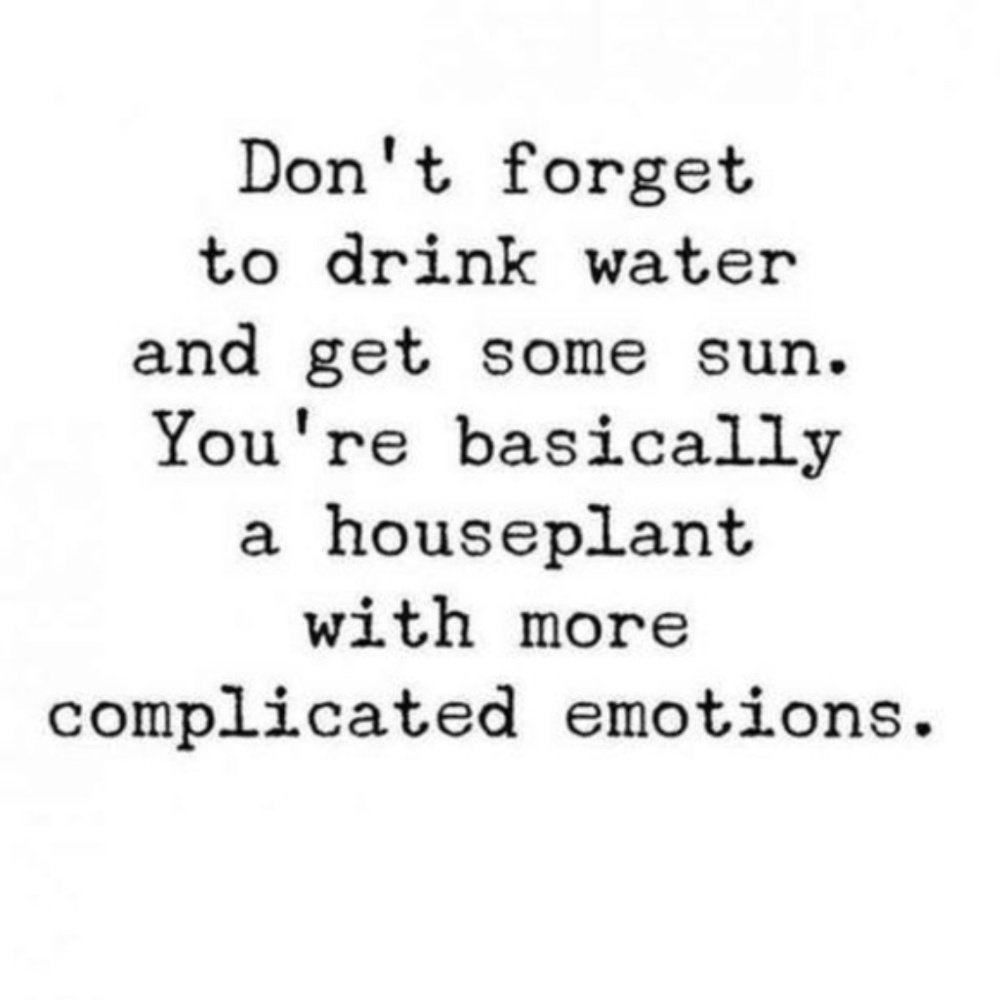 Don't Forget To Laugh Today!